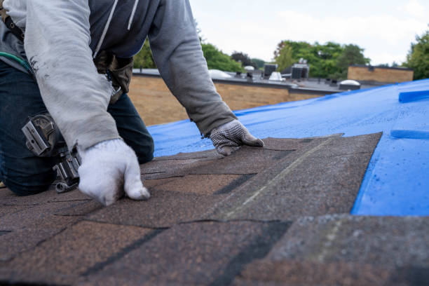 Best Storm Damage Roof Repair  in Panama City Beach, FL